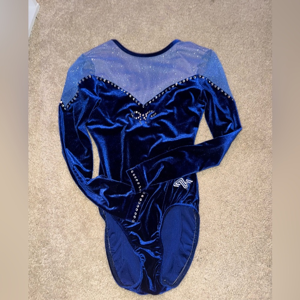 Blue Mesh Long Sleeve Leotard Adult Small